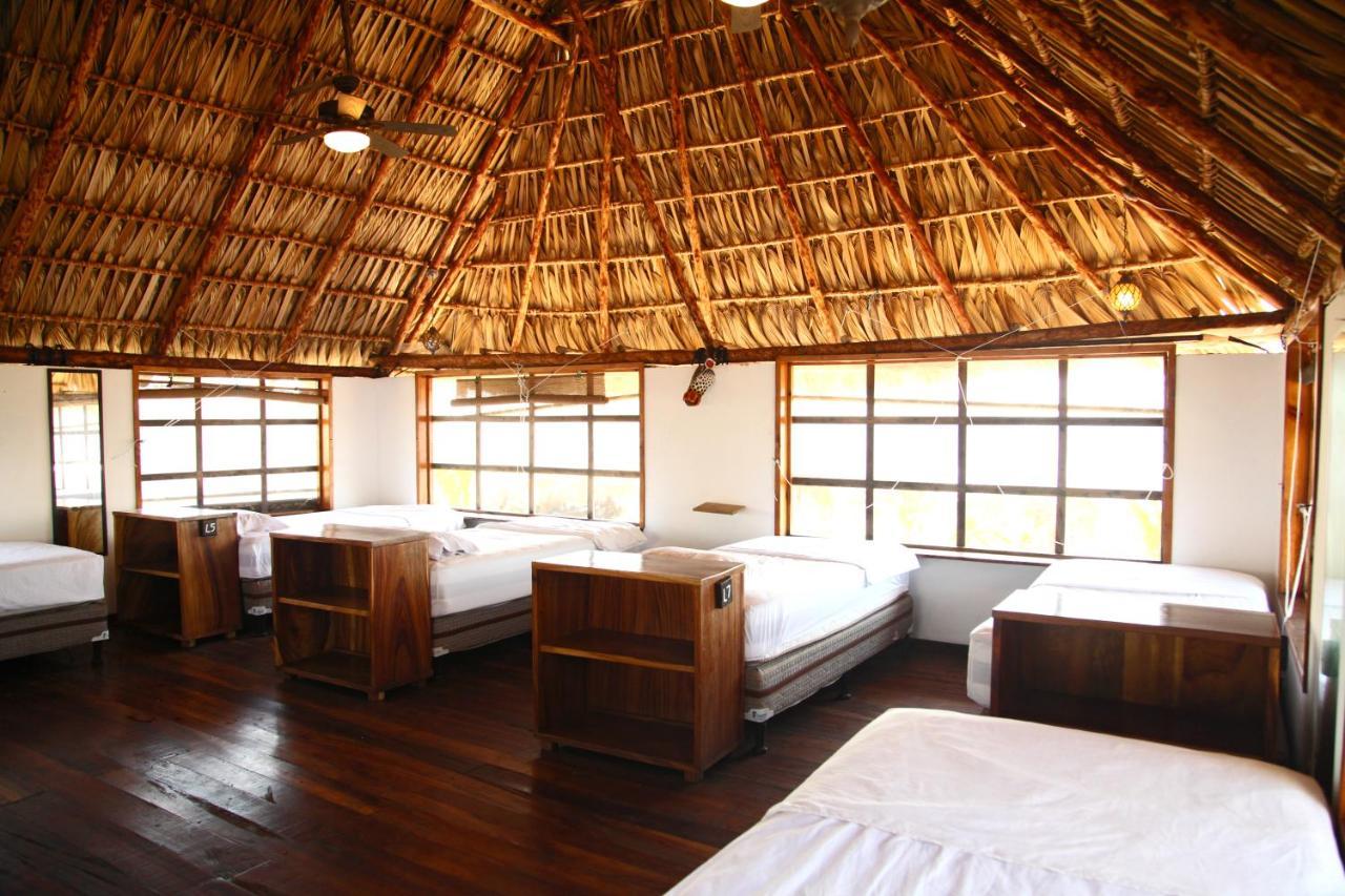 Cocori Lodge Paredon El Paredón Buena Vista Extérieur photo